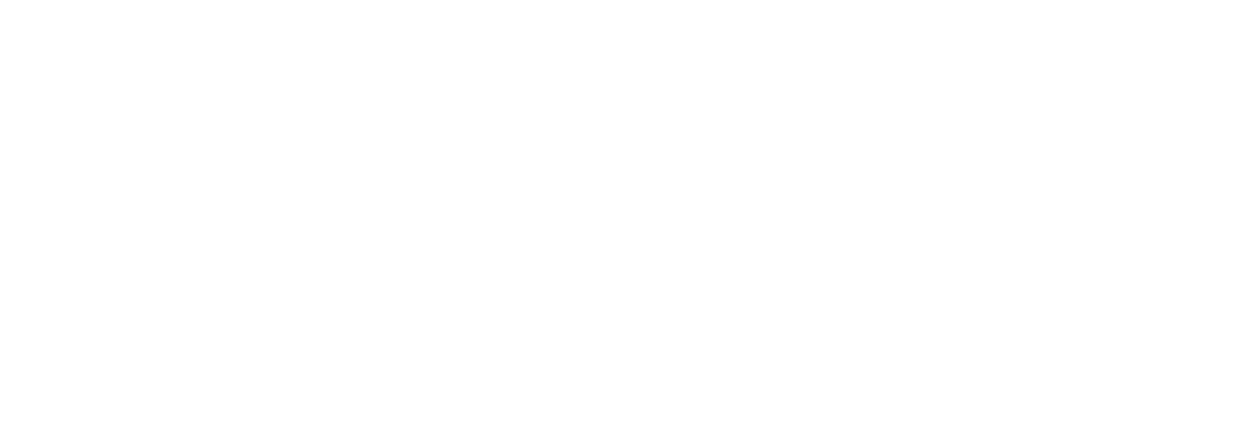 Hisver logo
